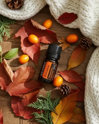 Cynamon – olejek eteryczny doTERRA