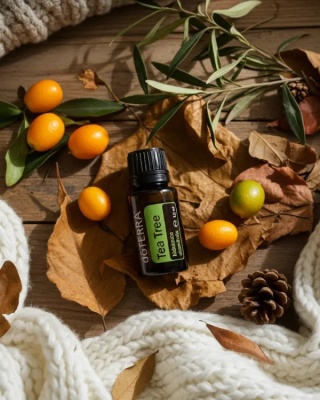 Drzewo herbaciane – olejek eteryczny doTERRA