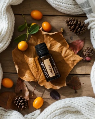 Imbir – olejek eteryczny doTERRA