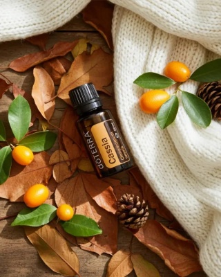 Kasja – olejek eteryczny doTERRA
