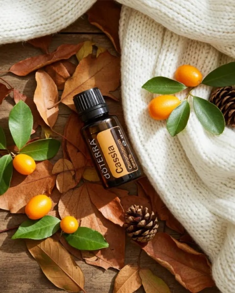 Kasja – olejek eteryczny doTERRA