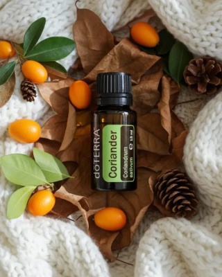 Kolendra (nasiona) – olejek eteryczny doTERRA