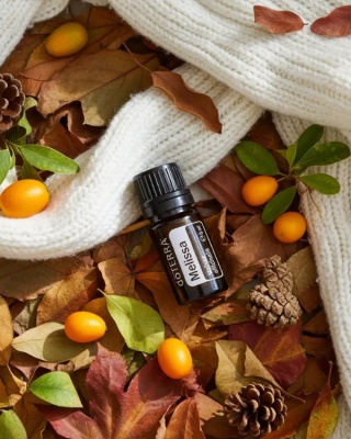 Melisa – olejek eteryczny doTERRA