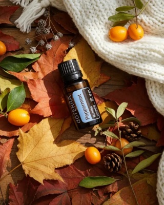 Mięta pieprzowa – olejek eteryczny doTERRA