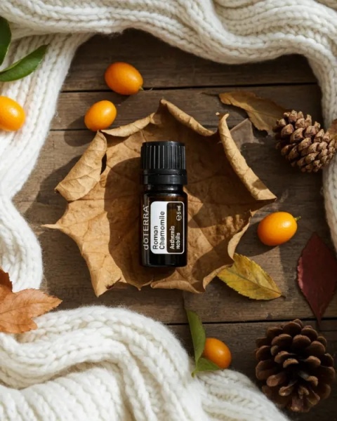Rumianek rzymski – olejek eteryczny doTERRA