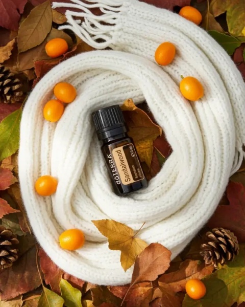 Sandałowiec – olejek eteryczny doTERRA