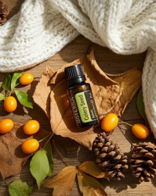 Seler (nasiona) – olejek eteryczny doTERRA