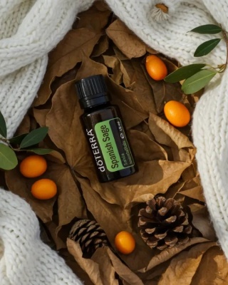 Szałwia lawendolistna – olejek eteryczny doTERRA