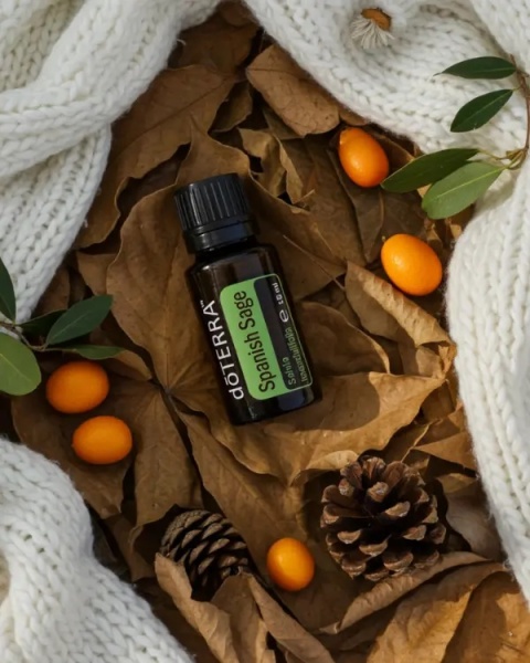 Szałwia lawendolistna – olejek eteryczny doTERRA