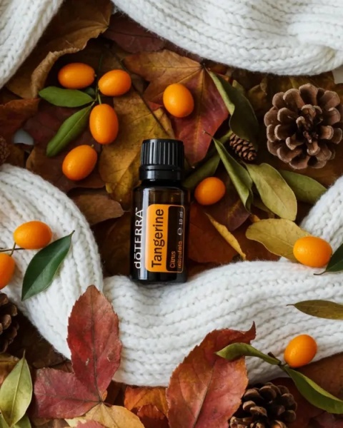 Tangerynka – olejek eteryczny doTERRA