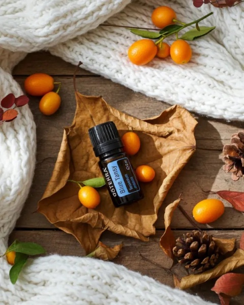 Wrotycz marokański – olejek eteryczny doTERRA