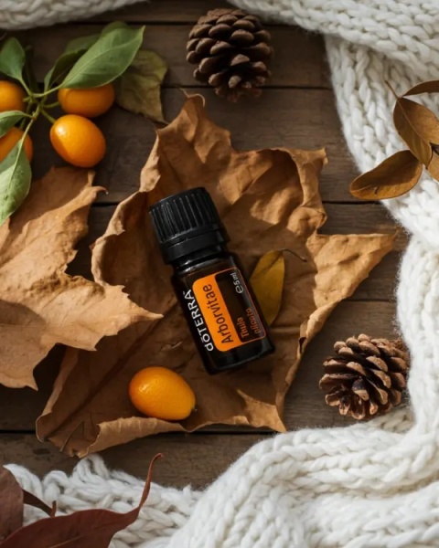 Żywotnik – olejek eteryczny doTERRA